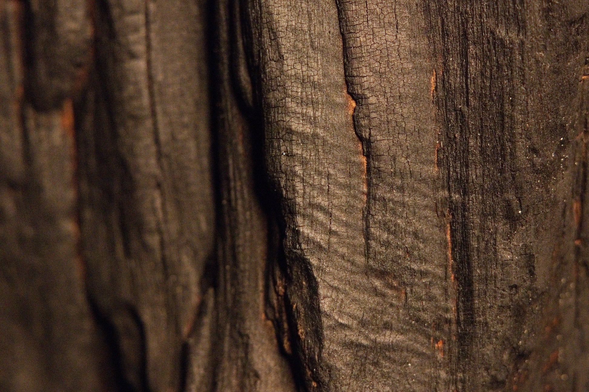Deep longitudinal grooves and dark rustic texturing extend continuously along the rugged, weathered timber surface.  
