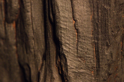 Deep longitudinal grooves and dark rustic texturing extend continuously along the rugged, weathered timber surface.  