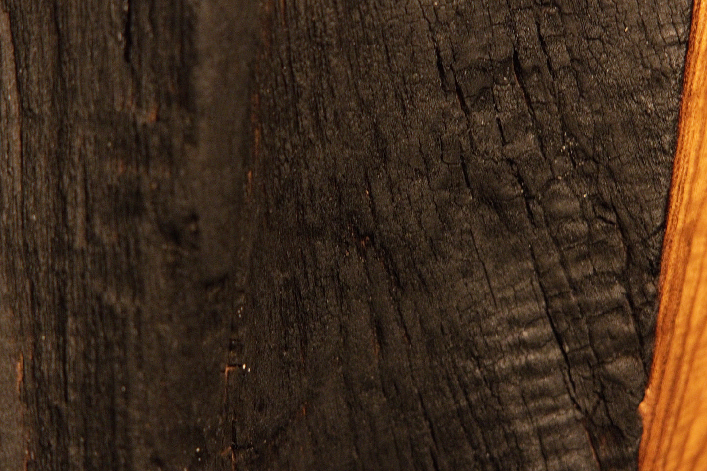 Deeply textured dark organic wood surfaces showcase unique natural carbonized details and weathered timber tones.  