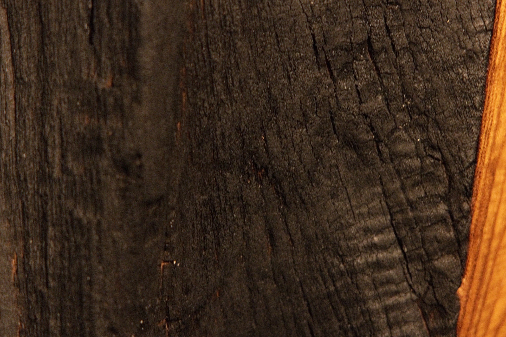 Deeply textured dark organic wood surfaces showcase unique natural carbonized details and weathered timber tones.  