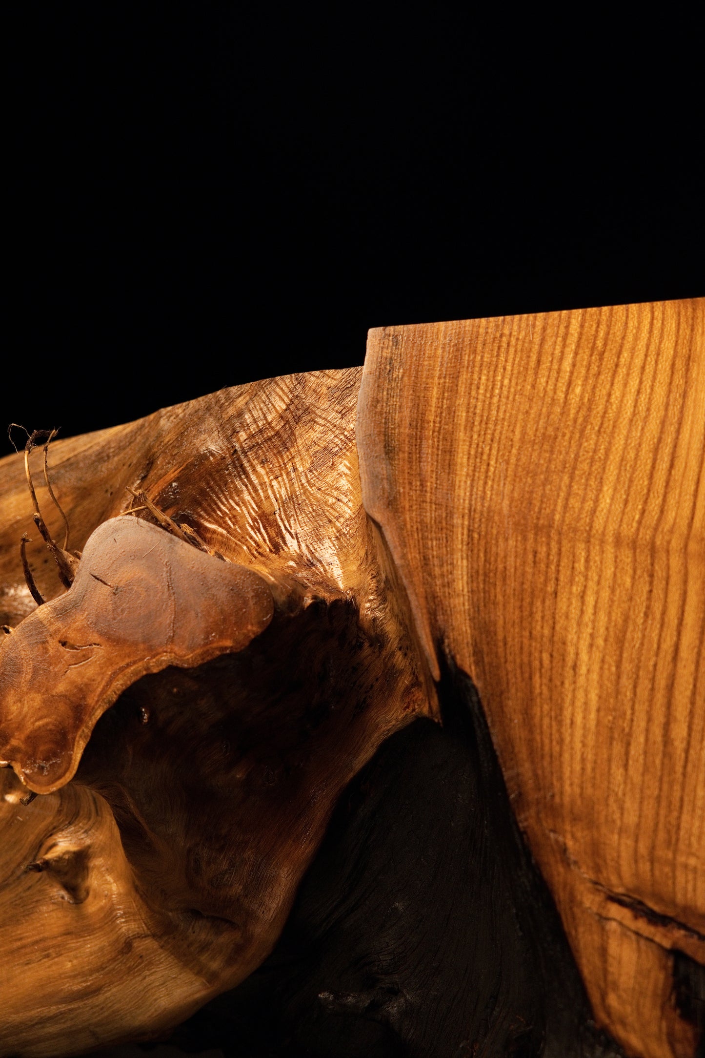 Smooth organic root contours meet the precision-cut vertical face of a solid, floor-heating stable timber block.  