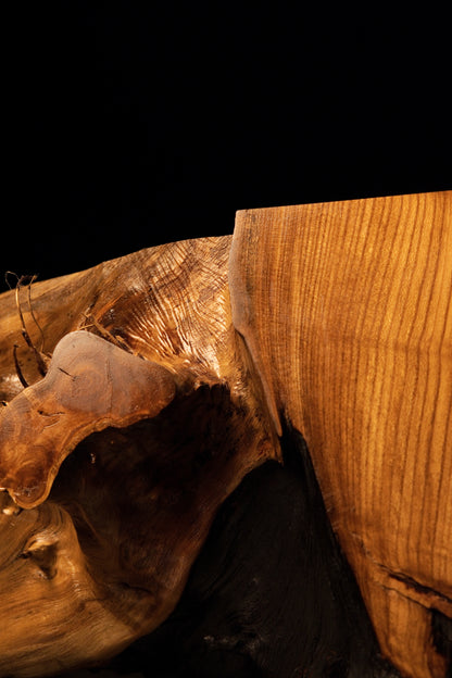 Smooth organic root contours meet the precision-cut vertical face of a solid, floor-heating stable timber block.  