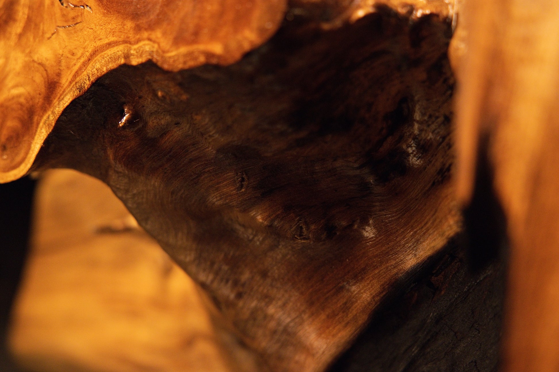 Interior perspective of a deep dark organic hollow showing weathered contours and smooth polished hardwood surfaces.  
