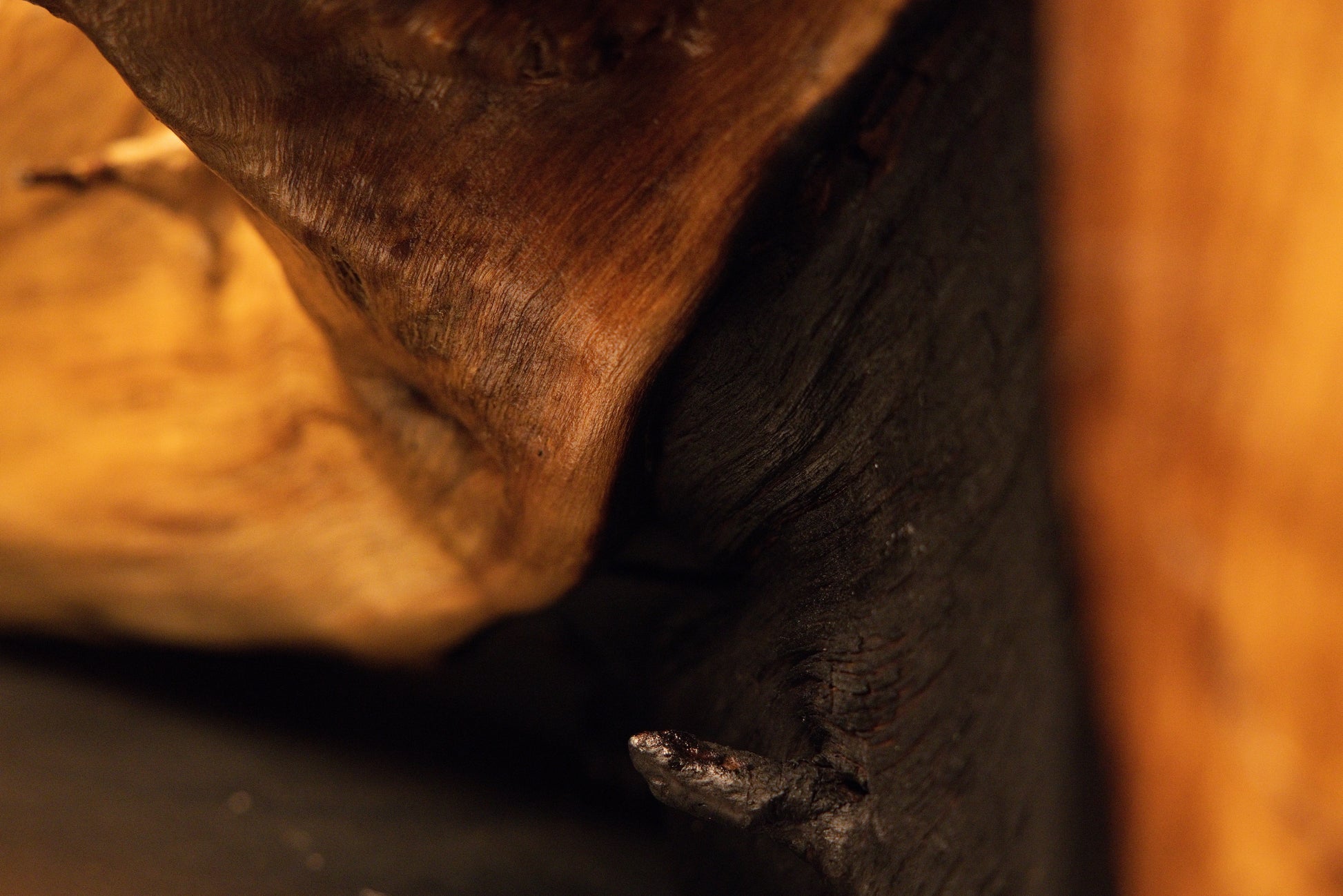 A small protruding wooden spur extends outward from a dark, heavily weathered cavity on the organic root sculpture.  