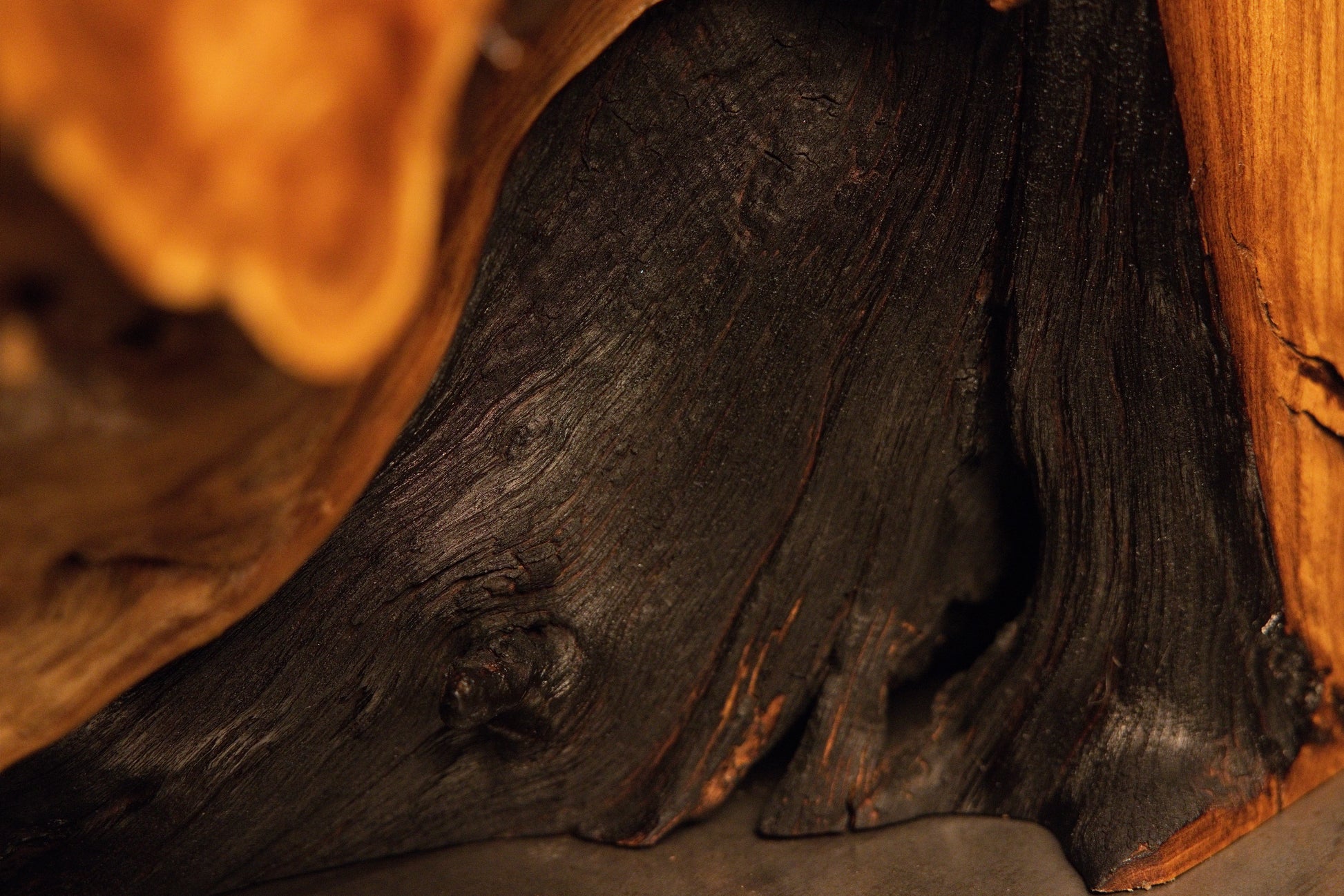 Dark curved interior surfaces and smooth organic contours form an inviting hollow space inside the wood sculpture.  