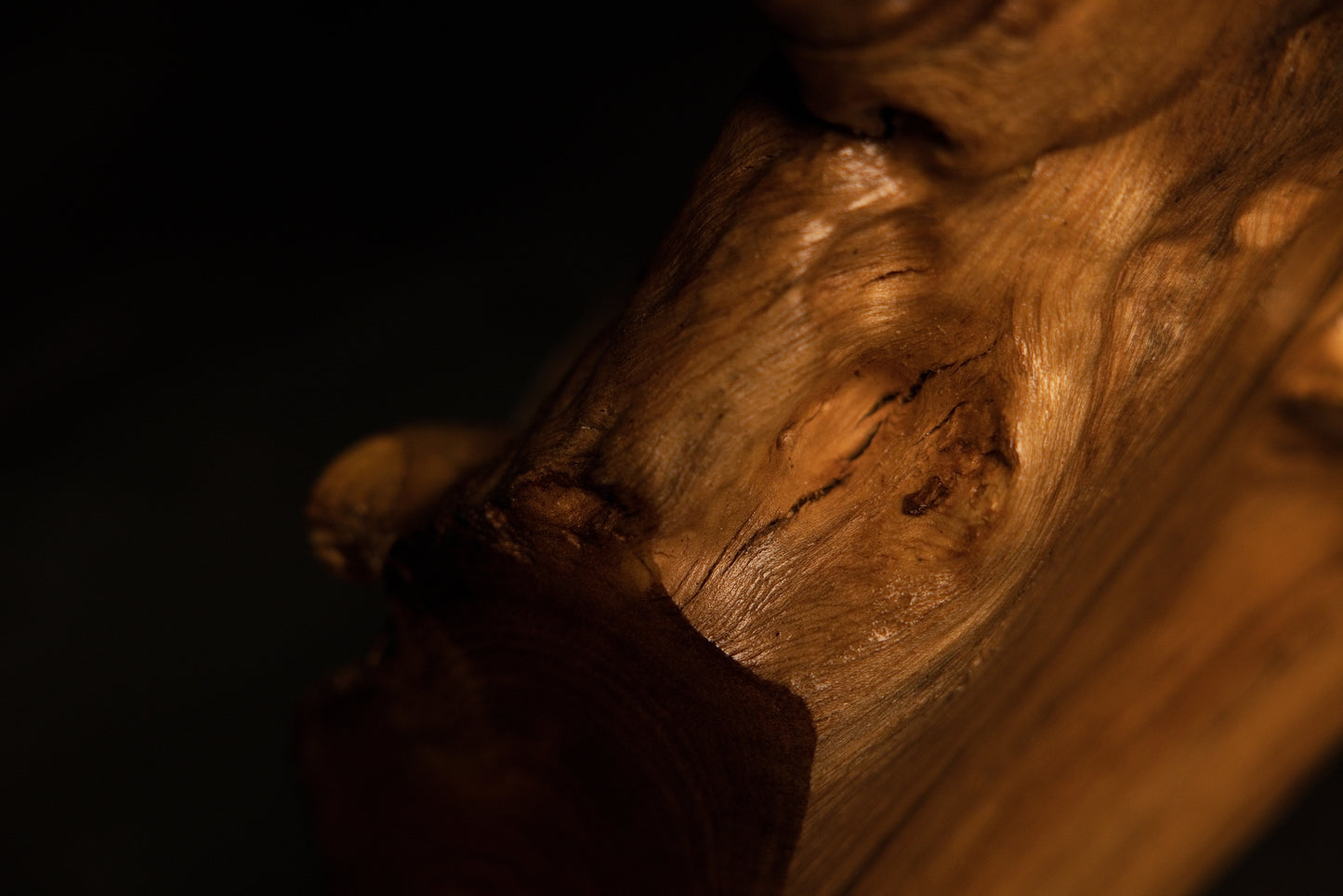 Smoothly rounded organic root contours gracefully illuminated against a dark, minimalist studio background setting.  