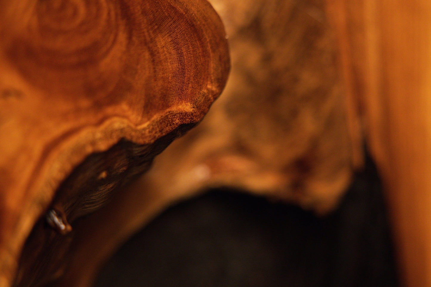 A curved organic wooden edge forms a natural framing contour directly above a deep, dark sculptural cavity void.  