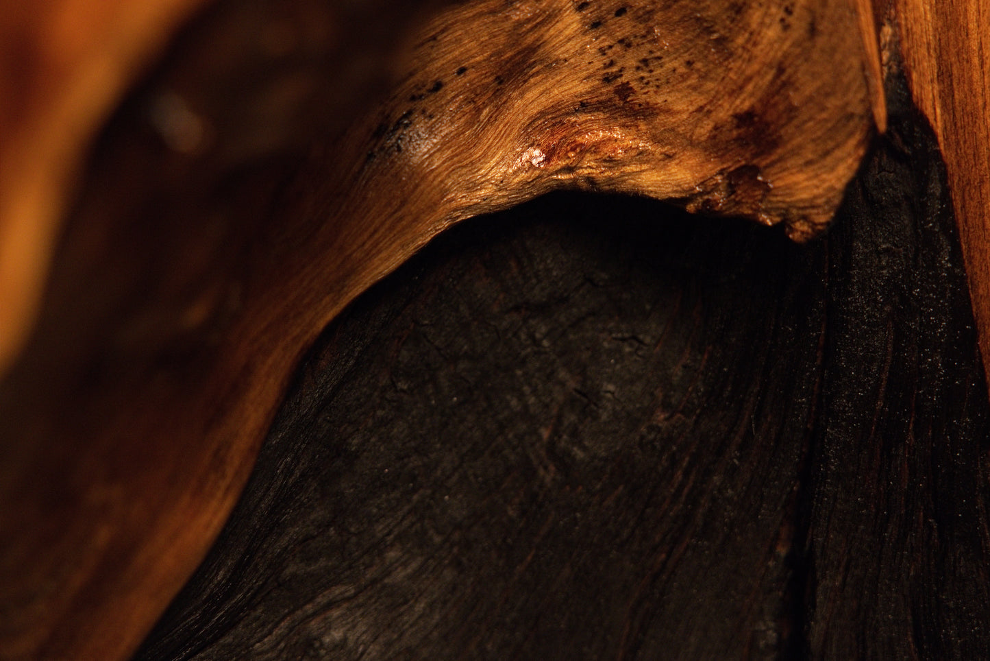 Smooth organic wood archway curves gracefully over a dark shadowed hollow inside the heavy timber root sculpture.  