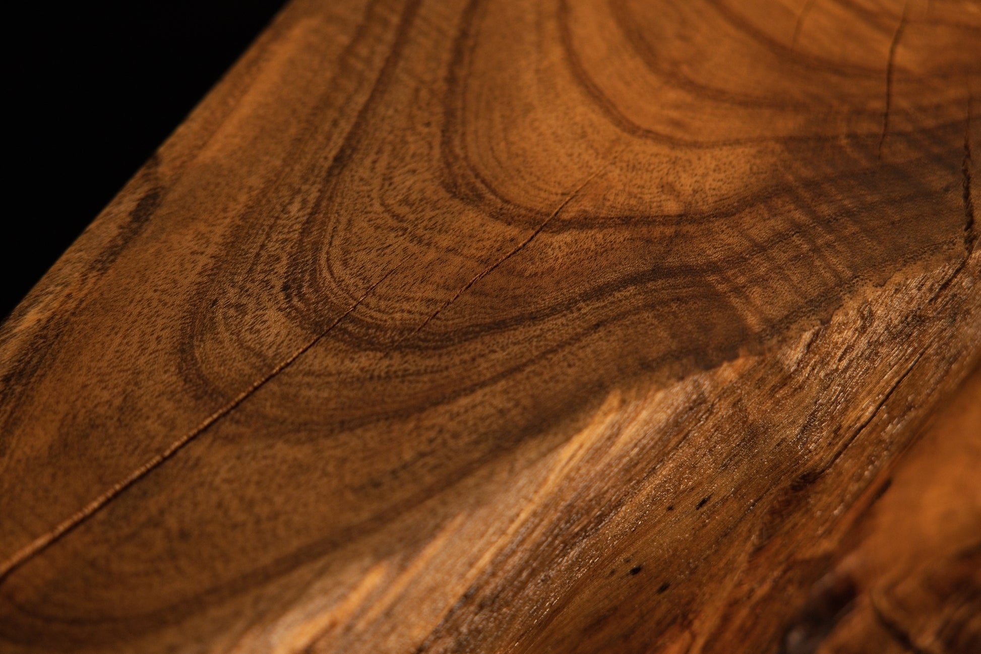 Warm golden wood grain curves gracefully across the surface of a solid organic hardwood root sculpture.  