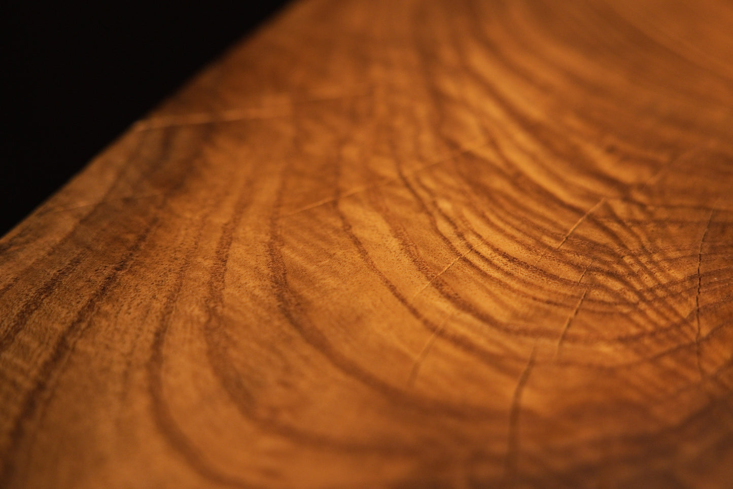 Fine growth rings and subtle hairline surface checking spread across a polished, climate-stable timber section.  