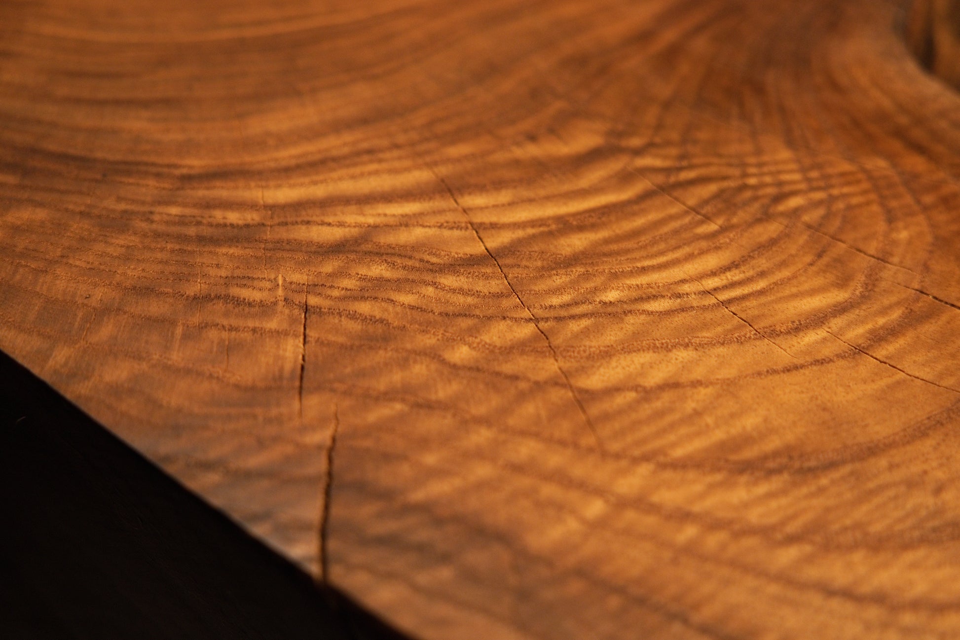 Fine radial checks intersect clean concentric growth rings across the polished surface of a structural timber slab.  