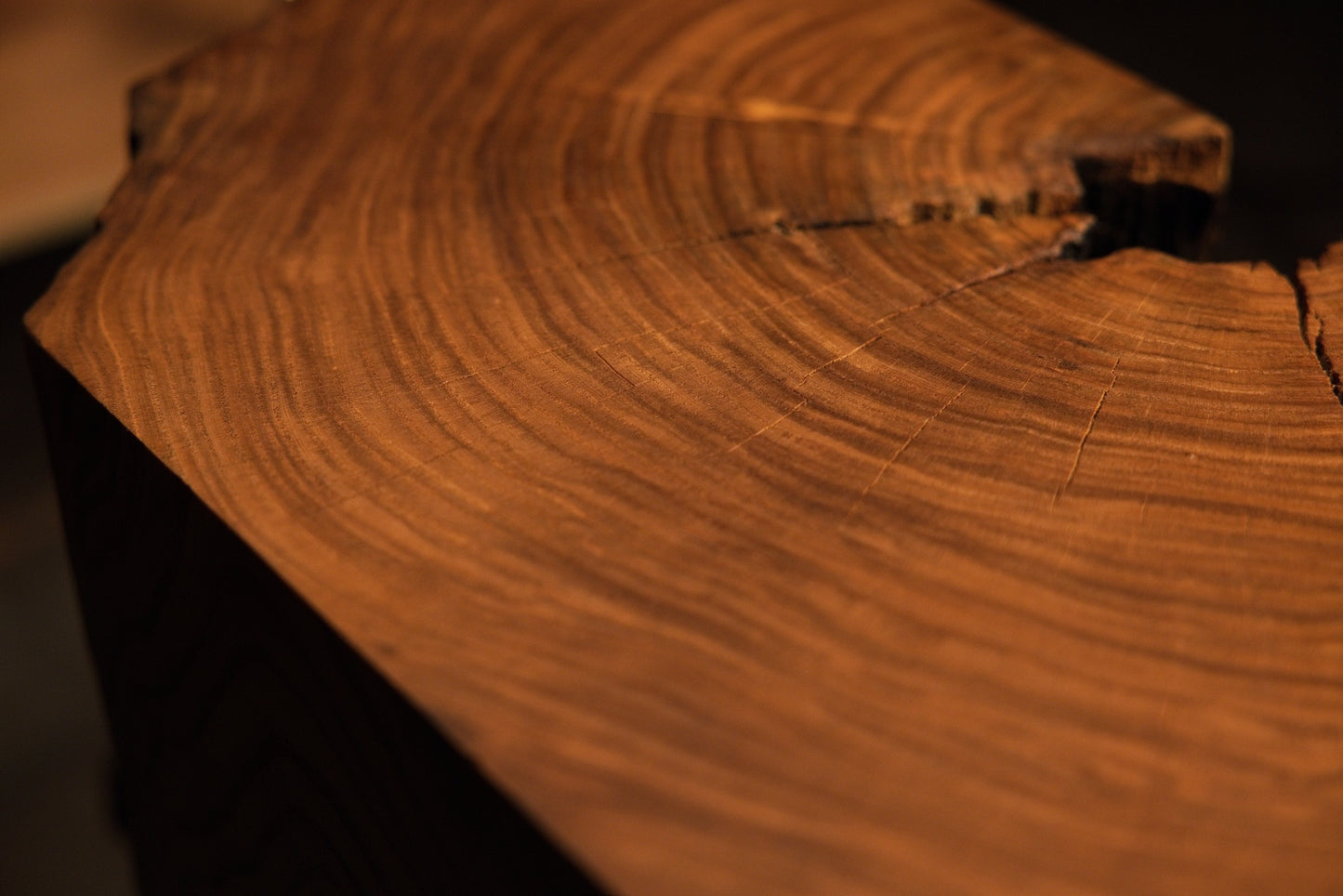 Polished rounded edge of a circular timber section displaying visible concentric growth rings and warm wood tones.  