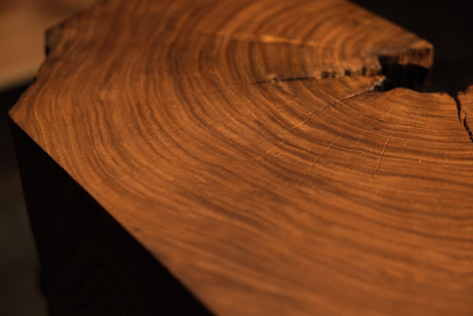 Polished rounded edge of a circular timber section displaying visible concentric growth rings and warm wood tones.  