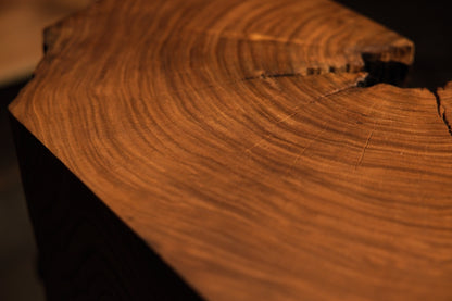 Polished rounded edge of a circular timber section displaying visible concentric growth rings and warm wood tones.  
