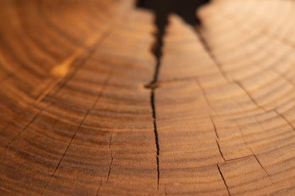 A fine central crack splits clean concentric growth rings across the face of a round, precision-cut timber section.  