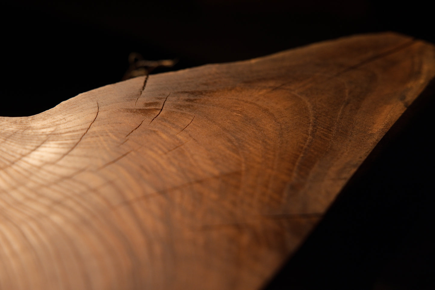 Perspective view tracking across the smooth curved surface and fine growth rings of a solid structural log end cut.  