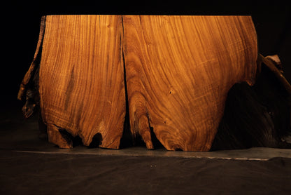Magnificent front elevation of a massive botanical root artwork exhibiting vibrant golden hues and a striking natural central fissure. 