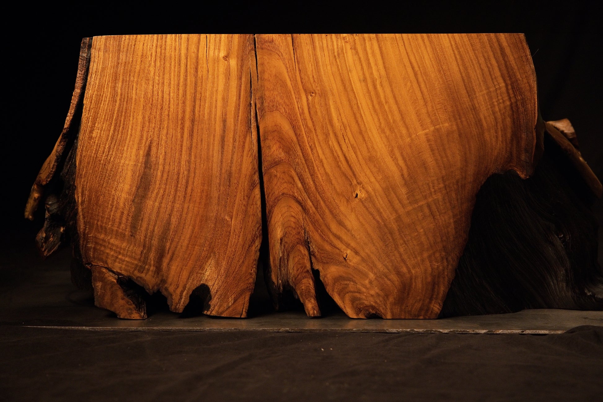 Straight-on studio presentation of the heavy biophilic timber block highlighting warm amber tones and deep base hollow areas. 