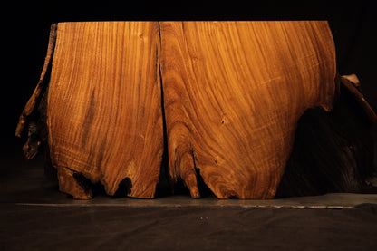 Straight-on studio presentation of the heavy biophilic timber block highlighting warm amber tones and deep base hollow areas. 