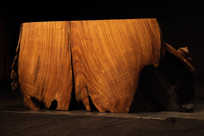 Atmospheric perspective shot of the monumental root monolith showcasing intricate vertical grain movement and dark lower voids. 