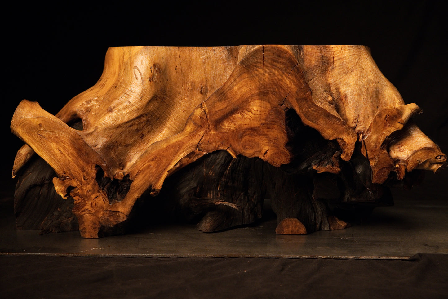 Comprehensive profile perspective of the large root sculpture emphasizing dynamic structural geometry and flowing grain lines. 