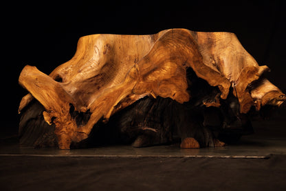 Professional gallery view of the heavy organic root furniture piece showcasing luxurious golden color and shadowed recesses. 