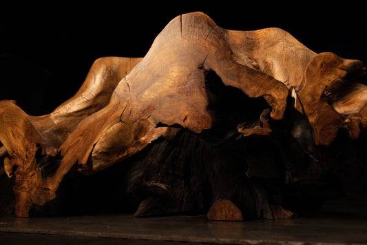 Dramatic three-quarter angle of the massive root monolith drawing attention to sweeping curves and sculptural silhouette. 
