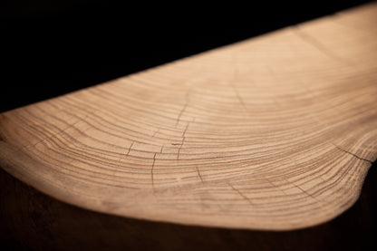 Detailed micro-perspective tracking concentric growth rings and delicate radial fissures across a smooth curved timber section. 