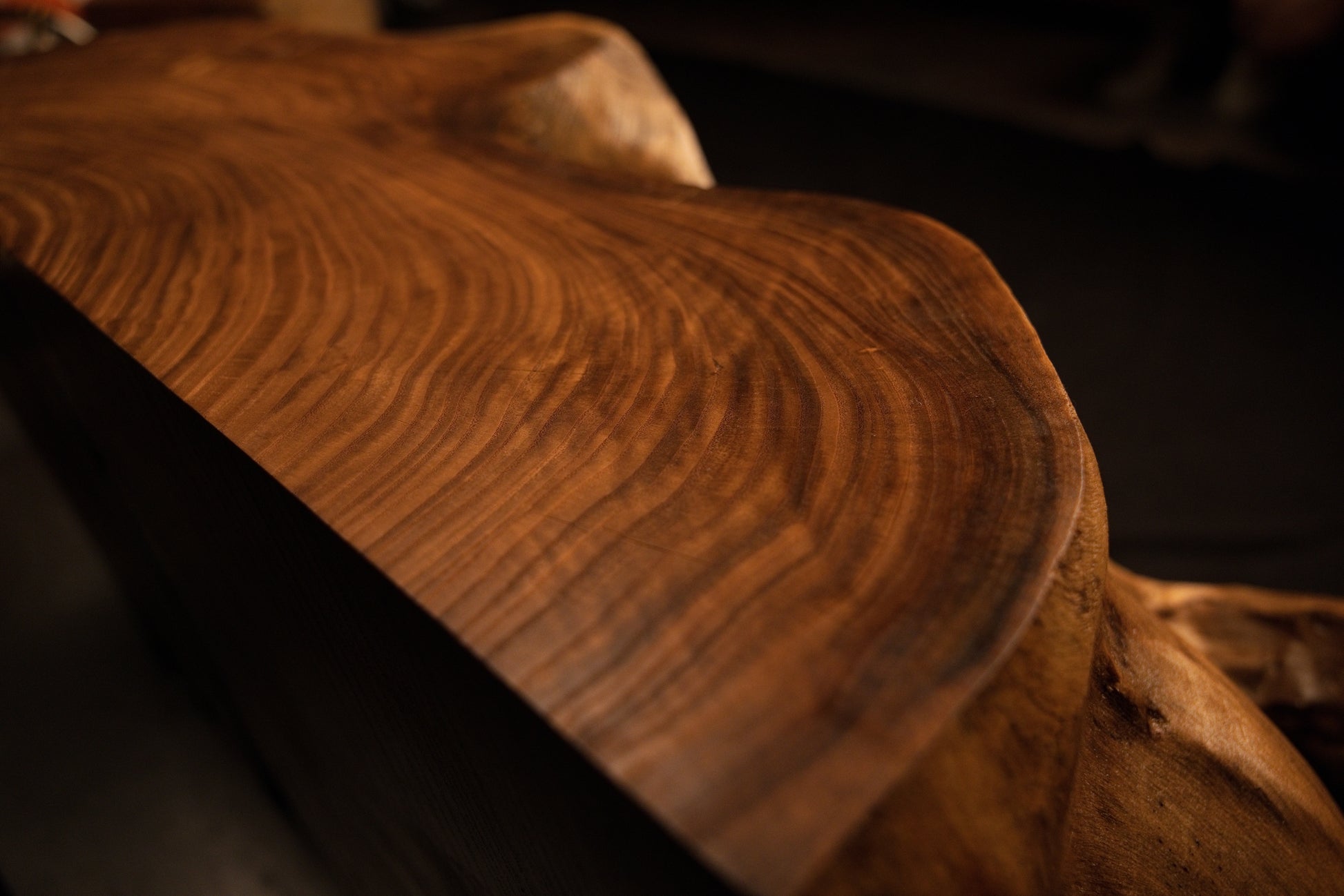 Sweeping macro view panning across polished wooden contours and rich amber growth ring formations on the root block face. 