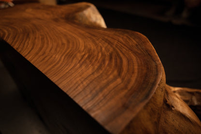 Sweeping macro view panning across polished wooden contours and rich amber growth ring formations on the root block face. 