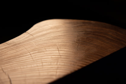 Fine detail view of smooth polished growth rings curving organically along the upper profile contour of the root element. 
