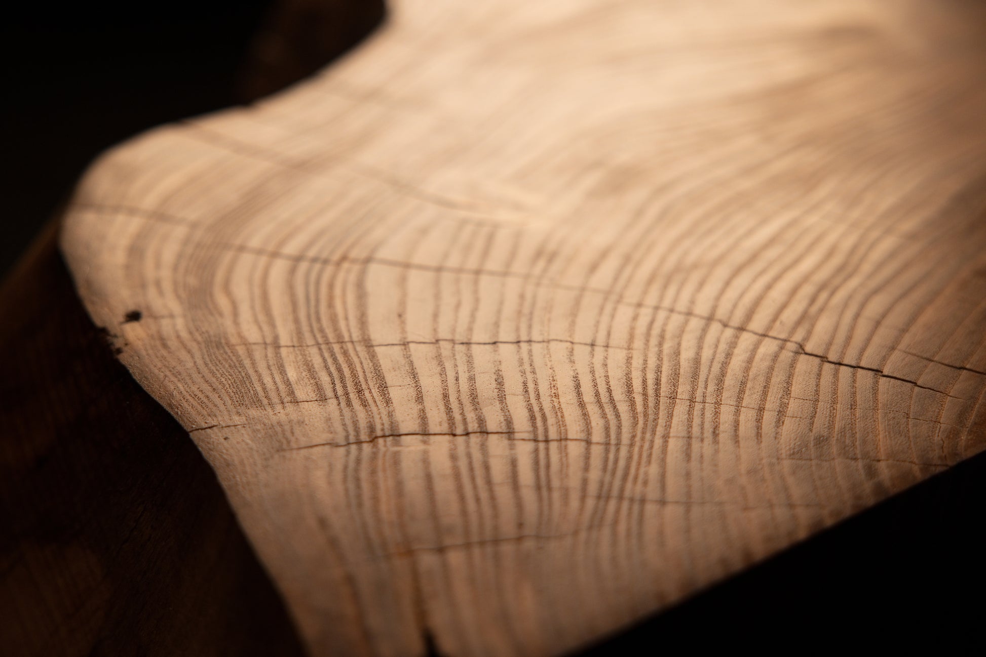 Macro documentation highlighting dense parallel grain lines and minimal surface checking across the finished timber piece. 