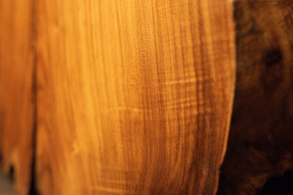 Close inspection of straight vertical wood fibers and subtle tactile surface variations along the side of the root block. 