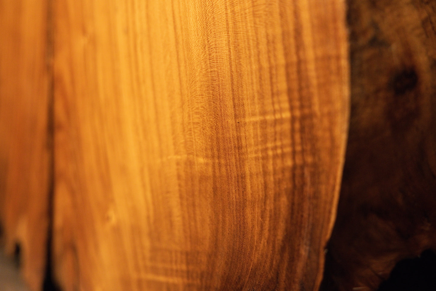 Macro focus prioritizing uniform vertical grain alignment and warm, consistent golden coloration across the timber face. 