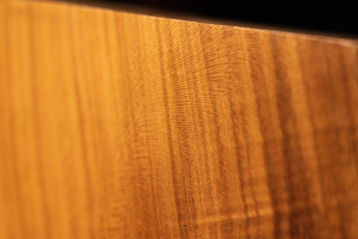 Fine-detail macro view of delicate linear wood texture running parallel near the polished top edge of the root sculpture. 