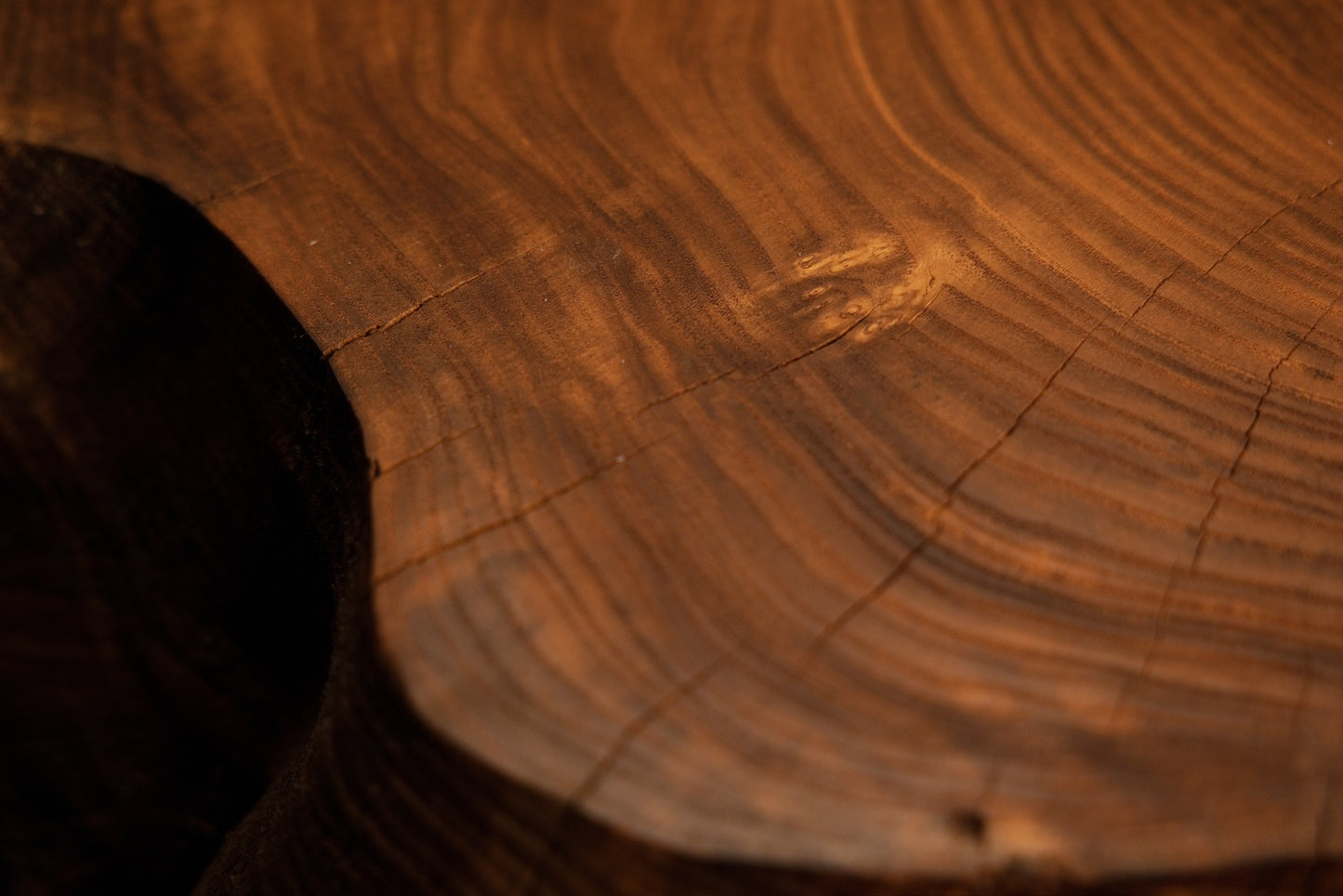 Intimate capture of a small natural wood knot embedded securely within curving growth rings on the timber slab face. 