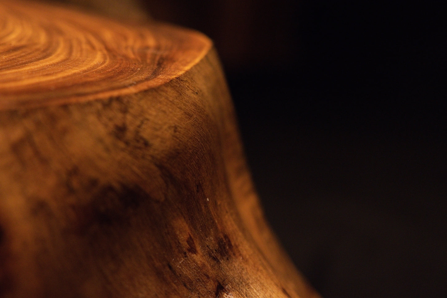 Close-up macro study targeting a rounded timber corner displaying delicate radial checks and warm concentric growth rings. 