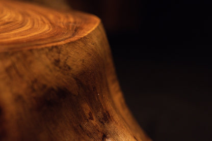 Close-up macro study targeting a rounded timber corner displaying delicate radial checks and warm concentric growth rings. 