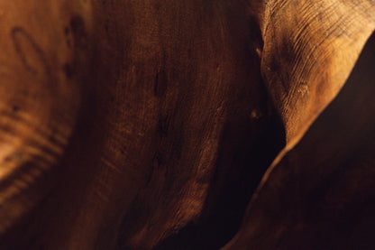 Intimate perspective looking into a deep dark shadowy wooden recess displaying weathered contours and textured surfaces. 