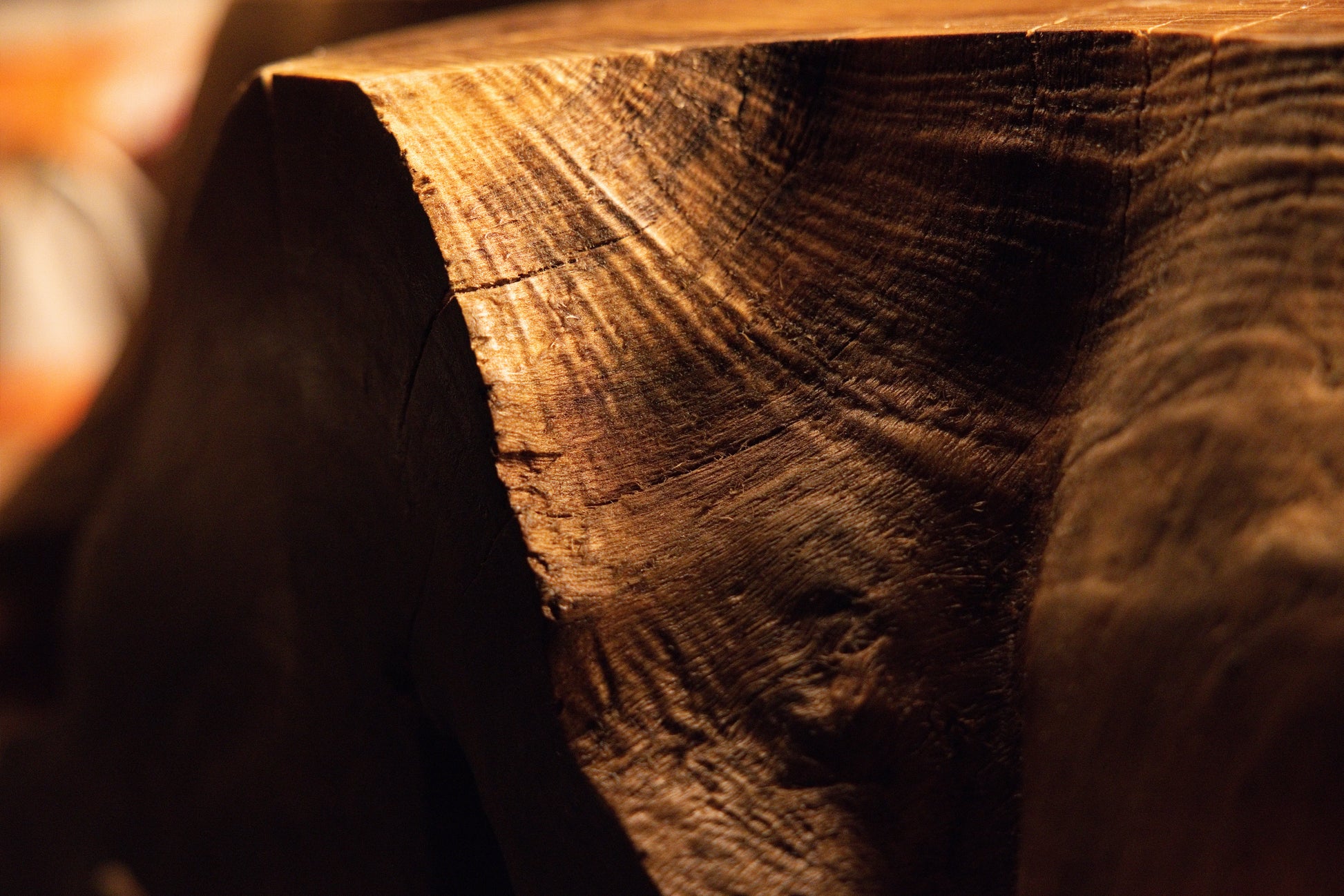 Precision-cut timber section macro view featuring clean concentric growth rings illuminated under warm gallery lighting. 