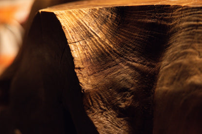 Precision-cut timber section macro view featuring clean concentric growth rings illuminated under warm gallery lighting. 