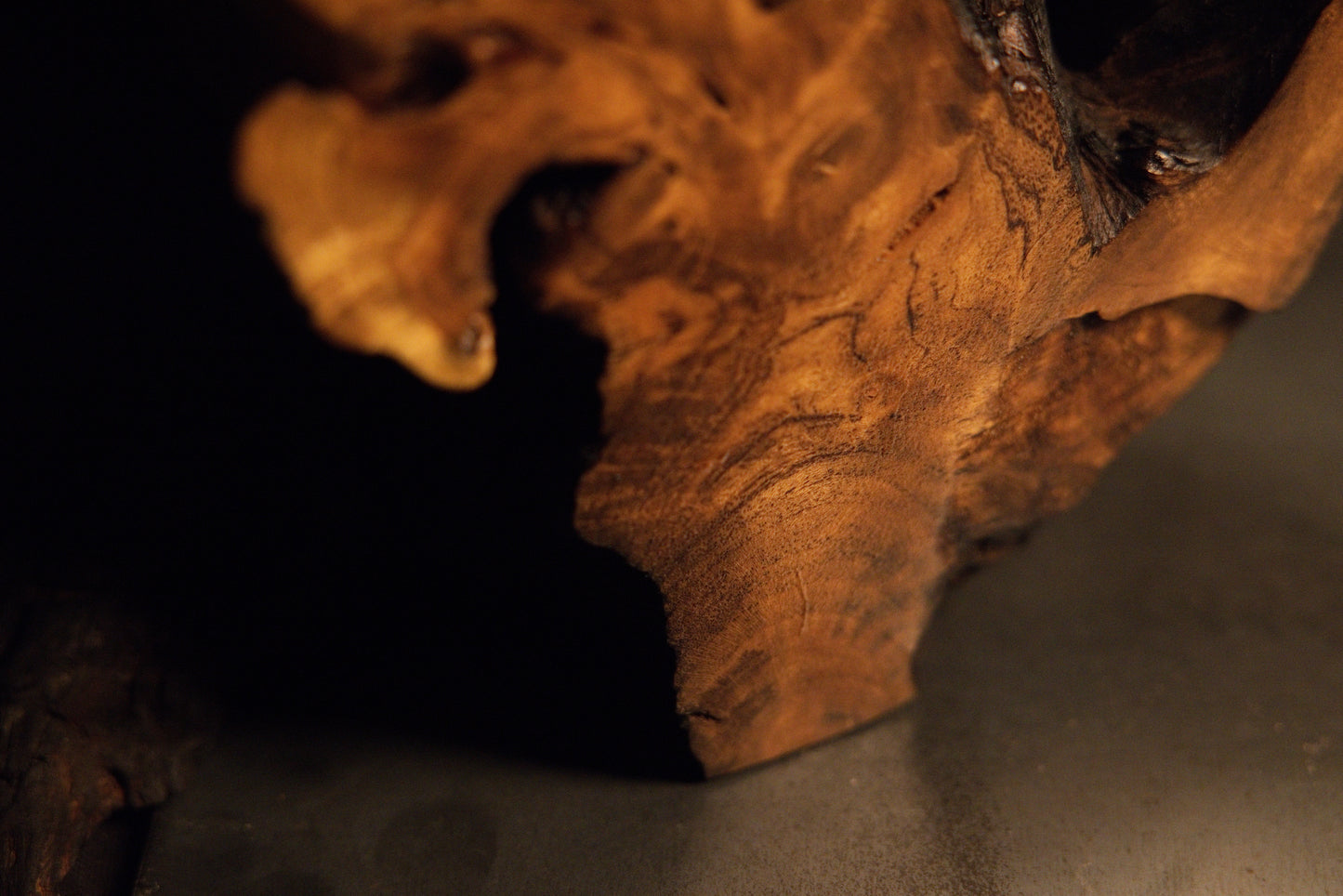 Macro capture documenting the complex organic transition between a polished solid wooden root contour and a dark void. 