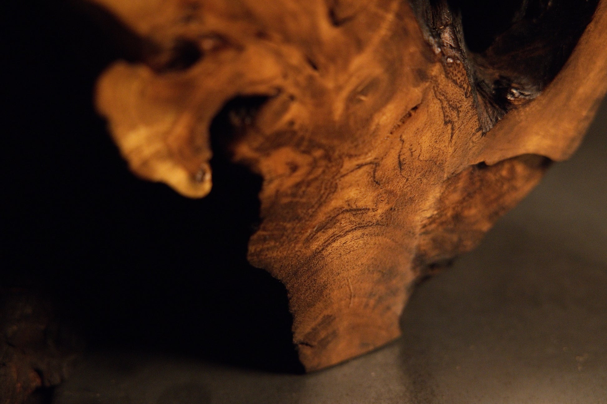 Macro perspective looking inside a dark organic root cavity showcasing smooth polished interior walls and deep textures. 