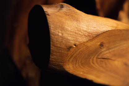 Close-up framing of a rounded wooden element featuring clean growth rings and a smooth polished finish in studio light. 