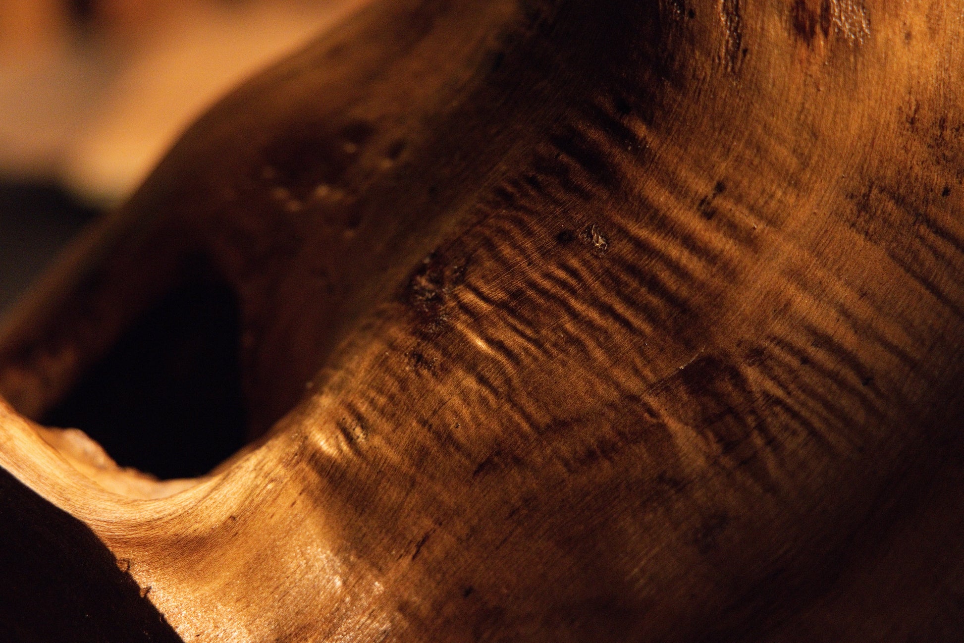 Macro view accentuating undulating wood grain textures and subtle surface undulations across the curved element face. 