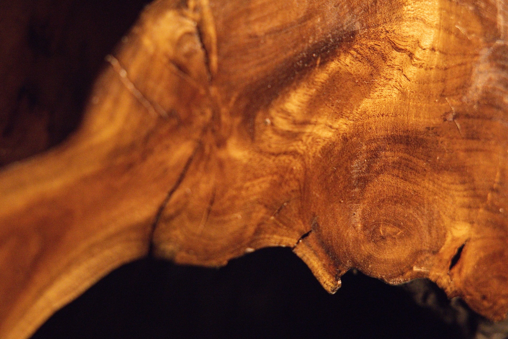 Angled macro perspective of an organic wooden root junction showcasing swirling grain patterns and a protruding knot. 