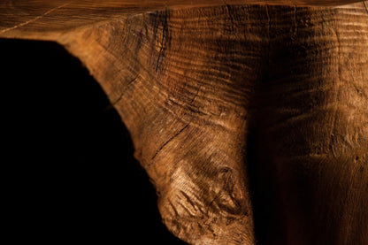Close-up look at a weathered timber edge exhibiting a dark organic wood knot inclusion and fine surface check lines. 