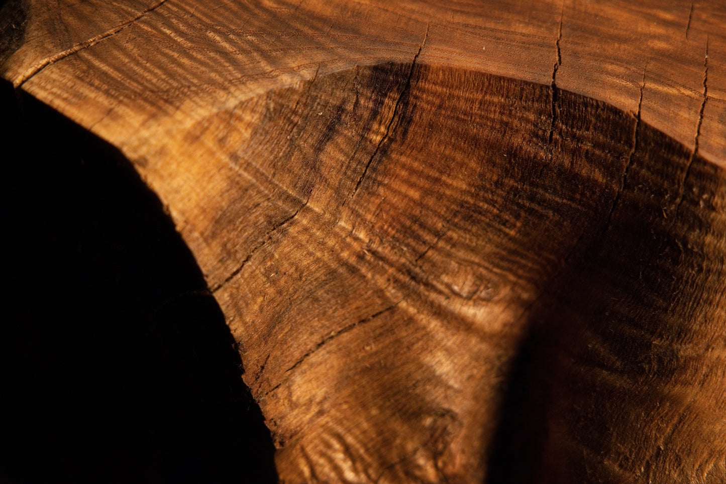 Macro capture framing smooth polished growth ring textures curving toward a deep dark cavity on the root sculpture. 