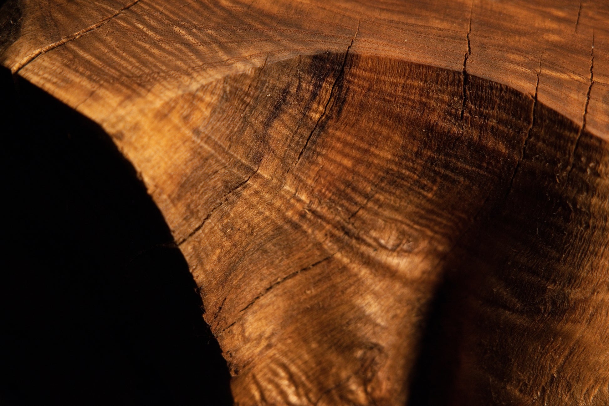 Macro capture framing smooth polished growth ring textures curving toward a deep dark cavity on the root sculpture. 