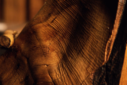 Detailed macro image capturing smooth undulating contours and warm golden textures across the root sculpture surface. 